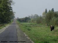 Imagine atasata: Bega - 2014.10.05 - 034.jpg